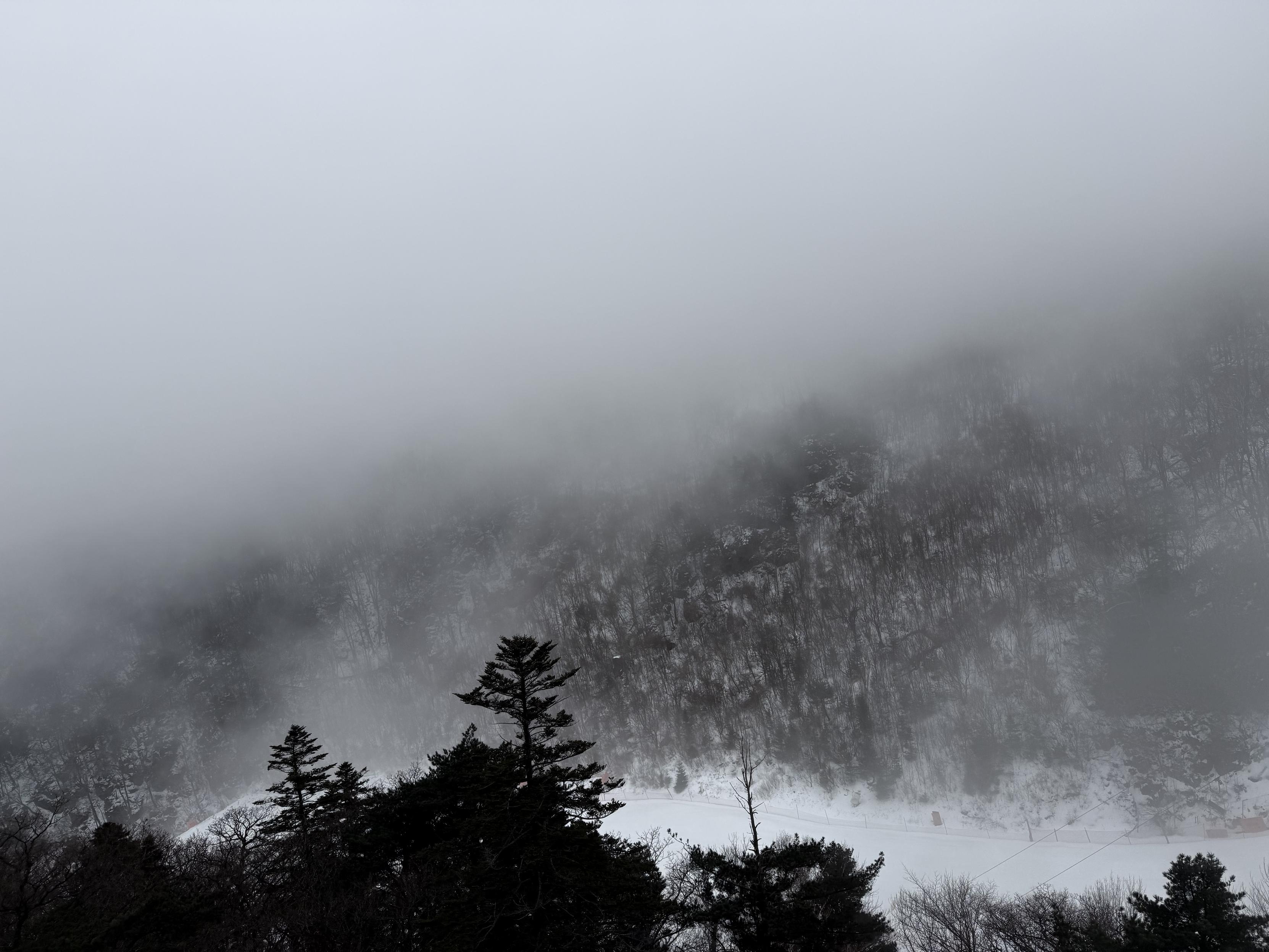 A snowy mountain seen from above. Heavily obscured by fog. A narrow trail cuts through the middle.
