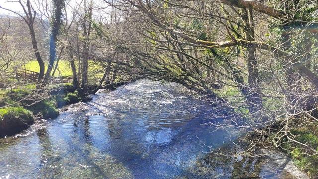 little river in the sun