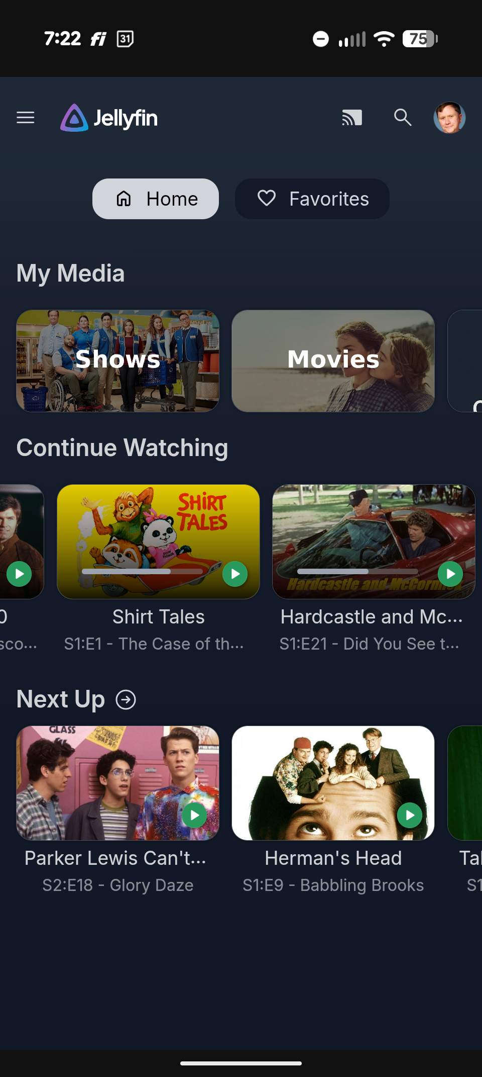 Link Preview Image