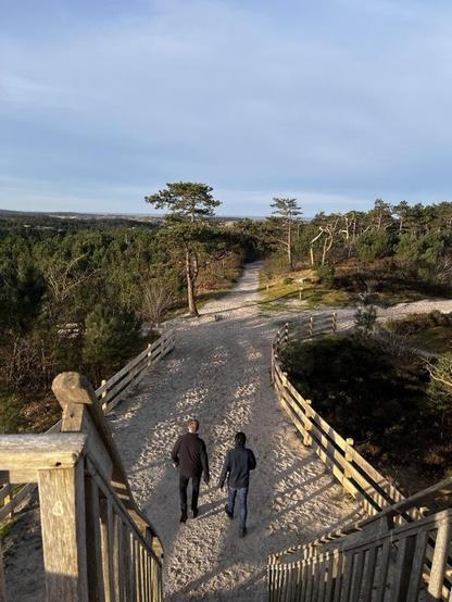 The dutch dunes 