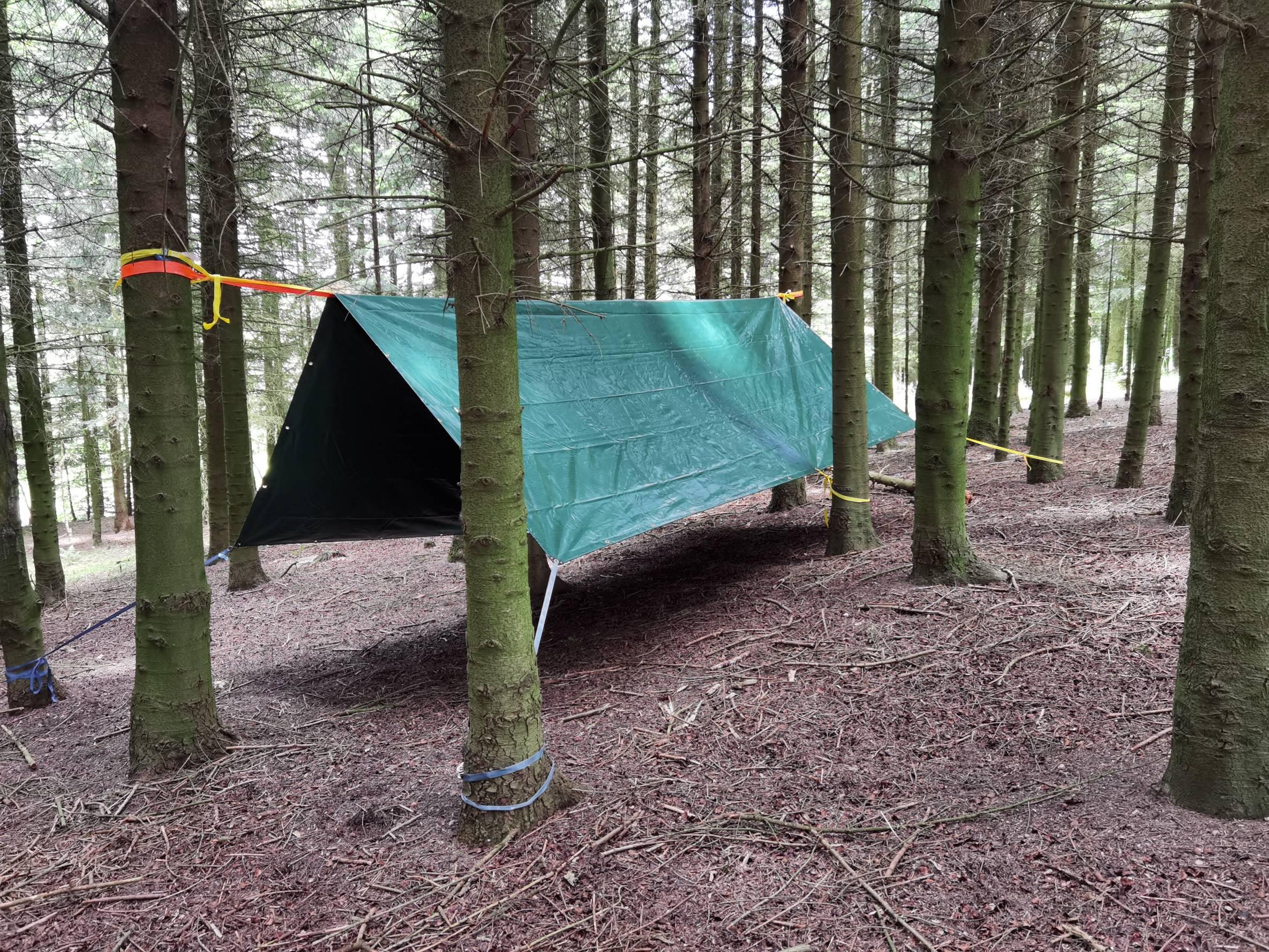 A 4x6m tarpaulin suspended in the air by tiedown straps between 2 trees. The corners are tied to other trees. A brown forest floor and lots of trees all around.