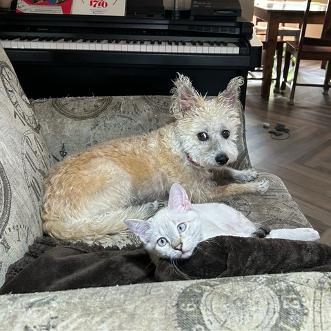 Posted media