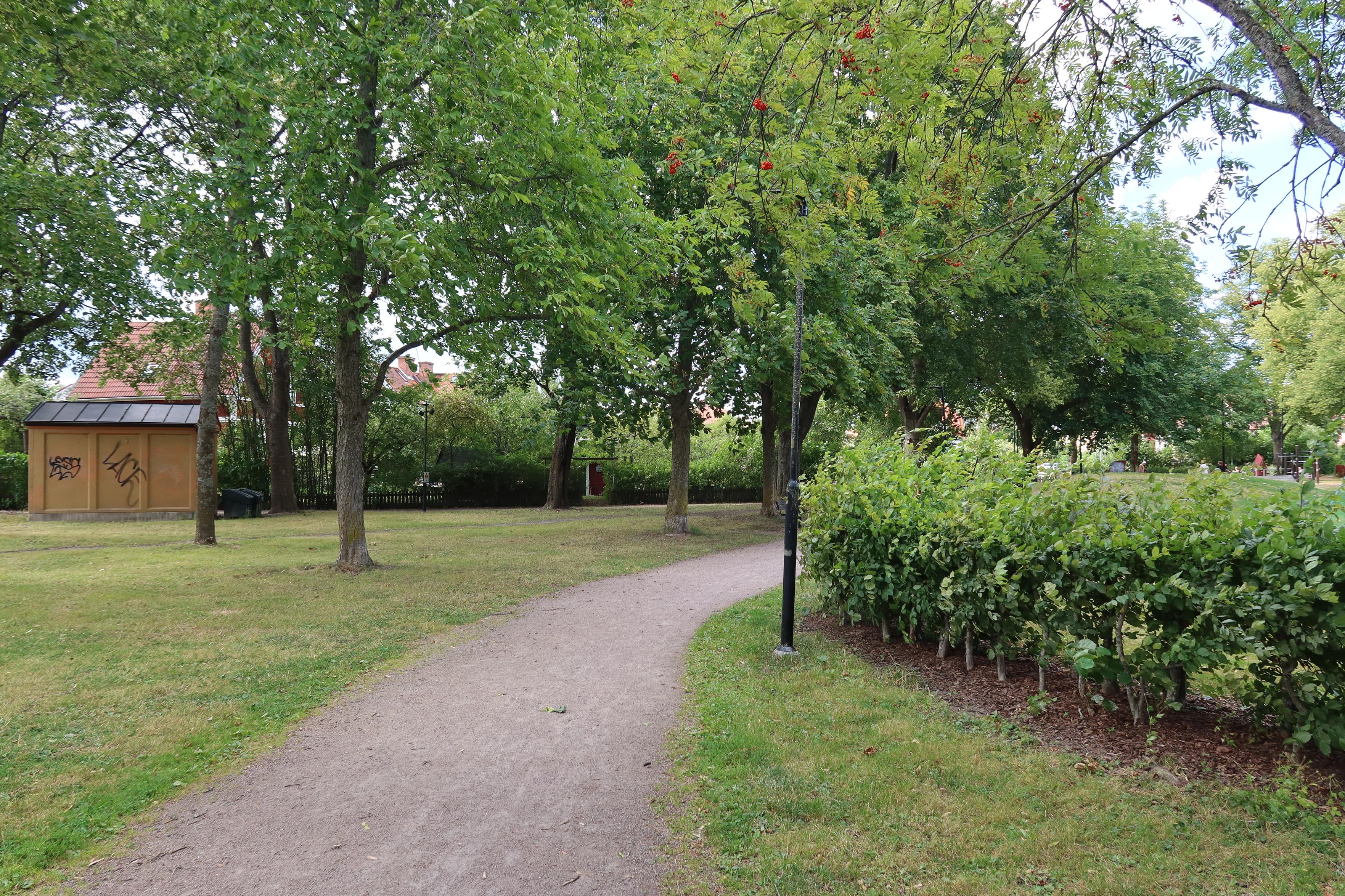 Gravel path with hedge on the right ride