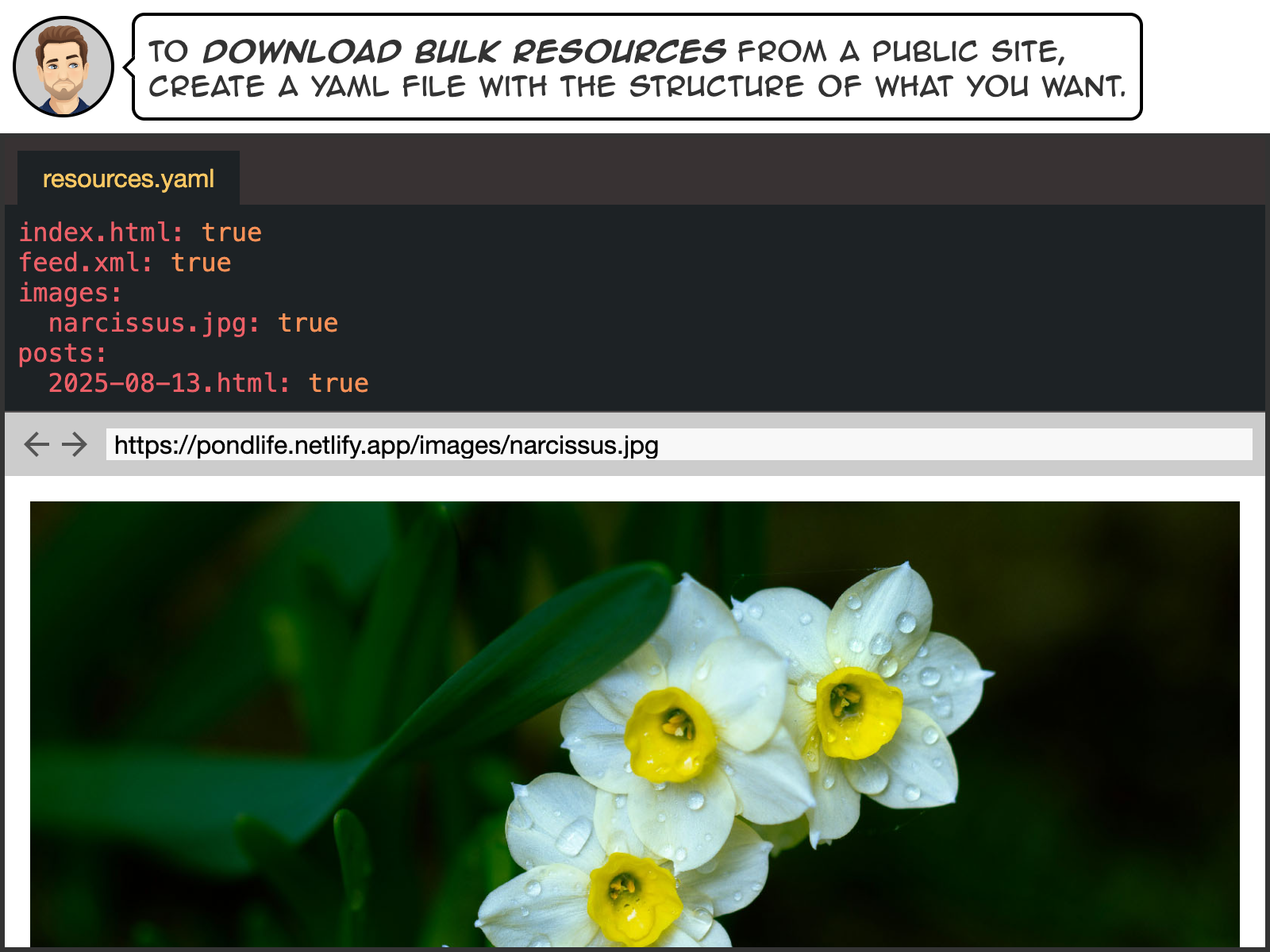 To download bulk resources from a public site, create a YAML file with the structure of what you want.