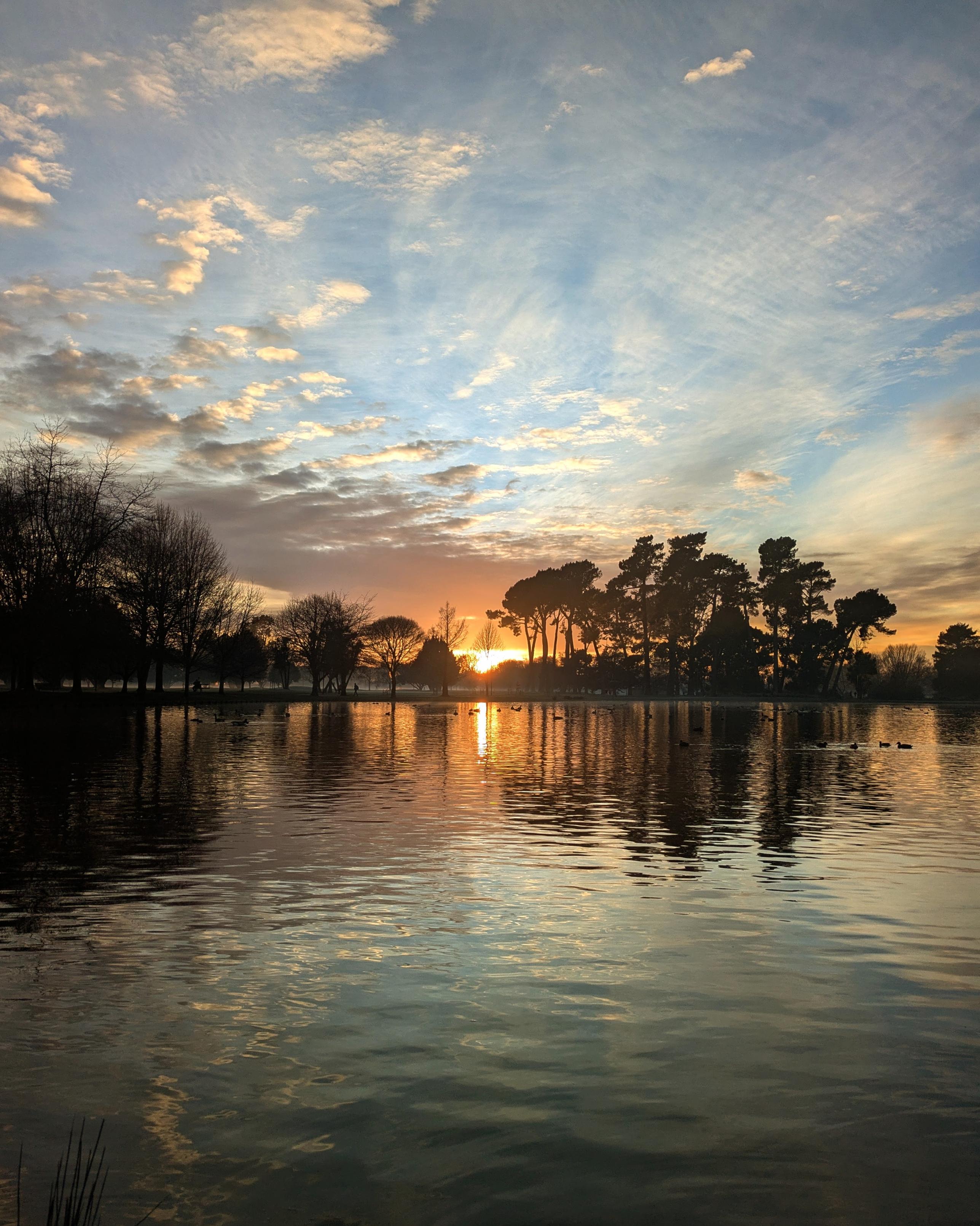 Photo of Victoria Lake in Hagley Park, Christchurch with the sun rising behind a silhouette of trees, reflecting on the water.
