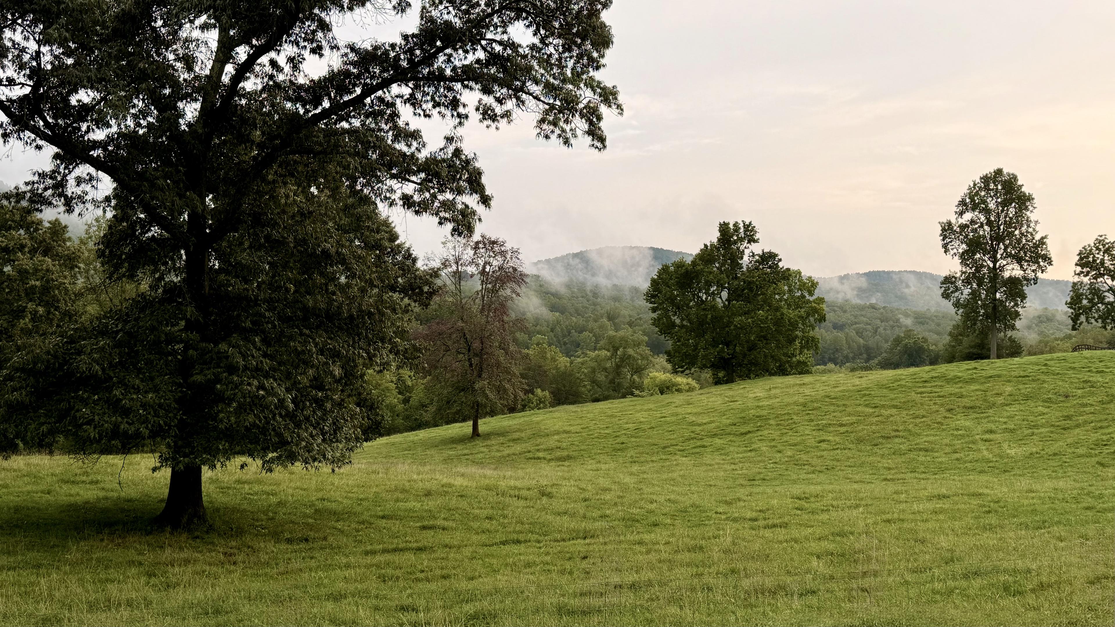 Roiling pasture with mist covered mountains.