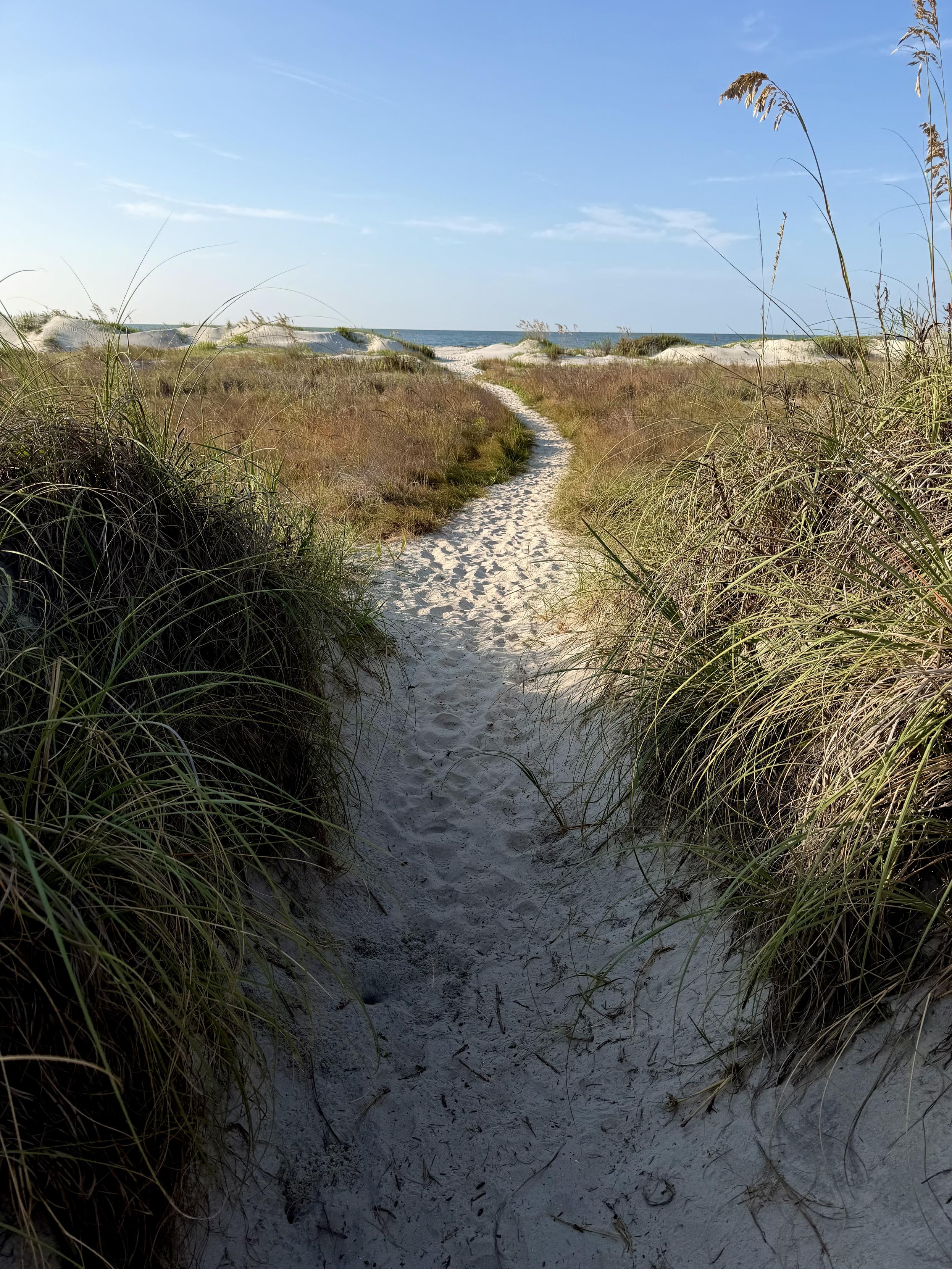 Narrow sand path leads through the dunes and grass to the ocean.