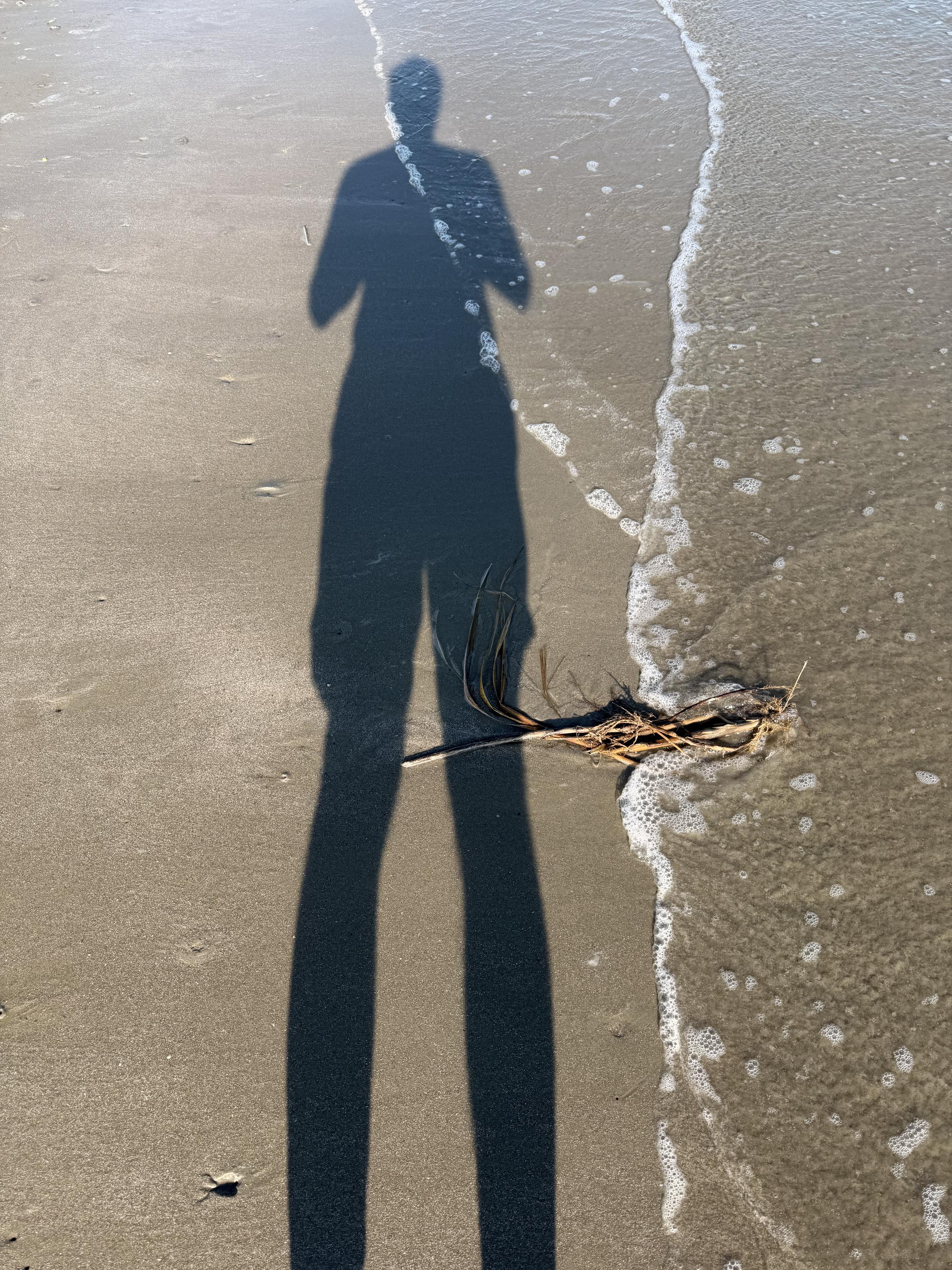 Shadows and reflections of people on wet sand.