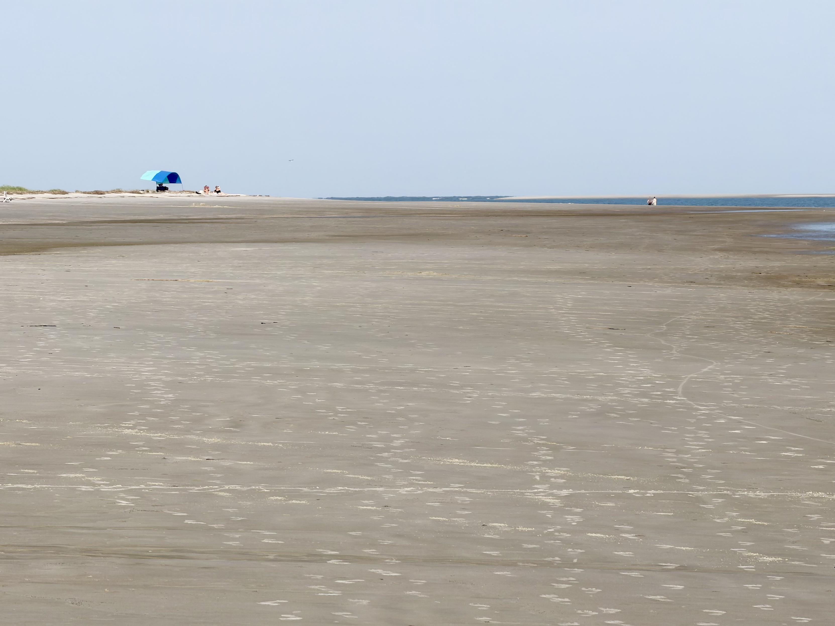 A wide flat beach with a few people on the horizon by the sea.