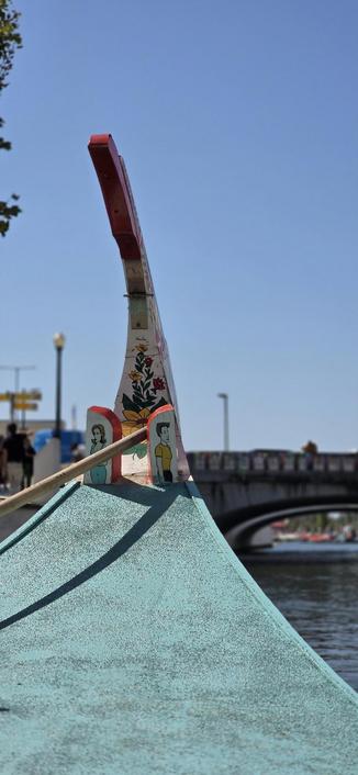 Moliceiro boat