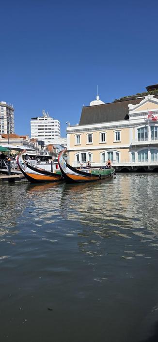 Moliceiro boats in Aveiro