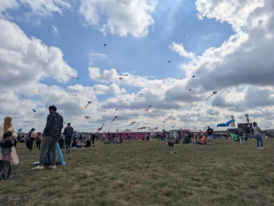 Another panoramic view of multi-coloured kites above an open field with many people