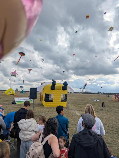 Panoramic view of kites of all sizes and colours