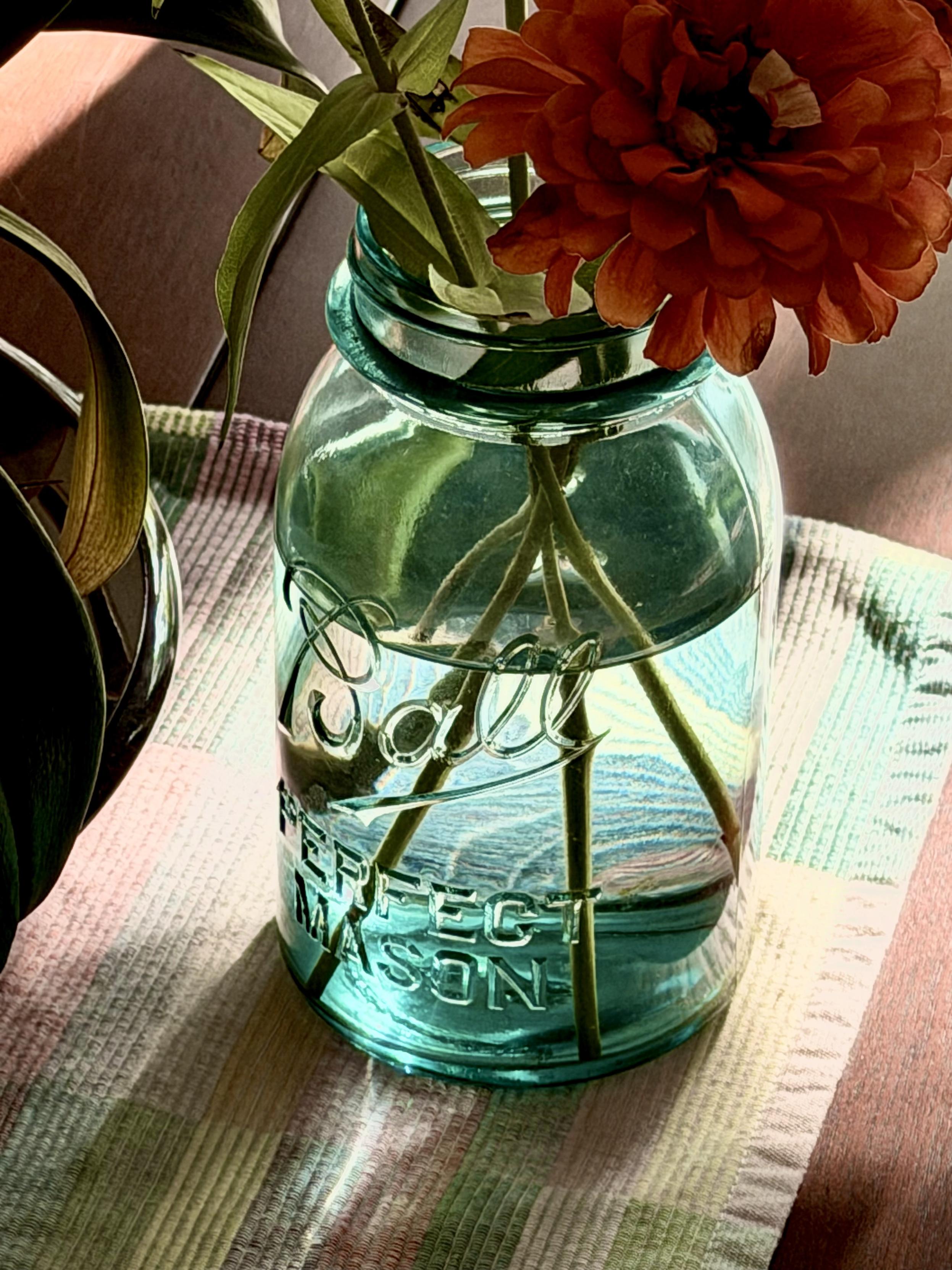 Zinnias in an old blue Ball Mason jar