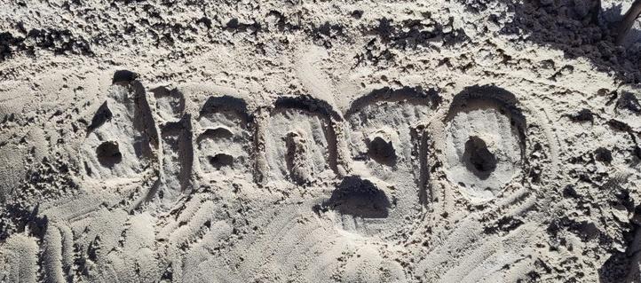 "django" written in the sand on the beach