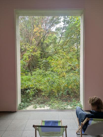 Deckchairs in front a window overlooking an overgrown courtyard. Is it art? Or just a nice window?