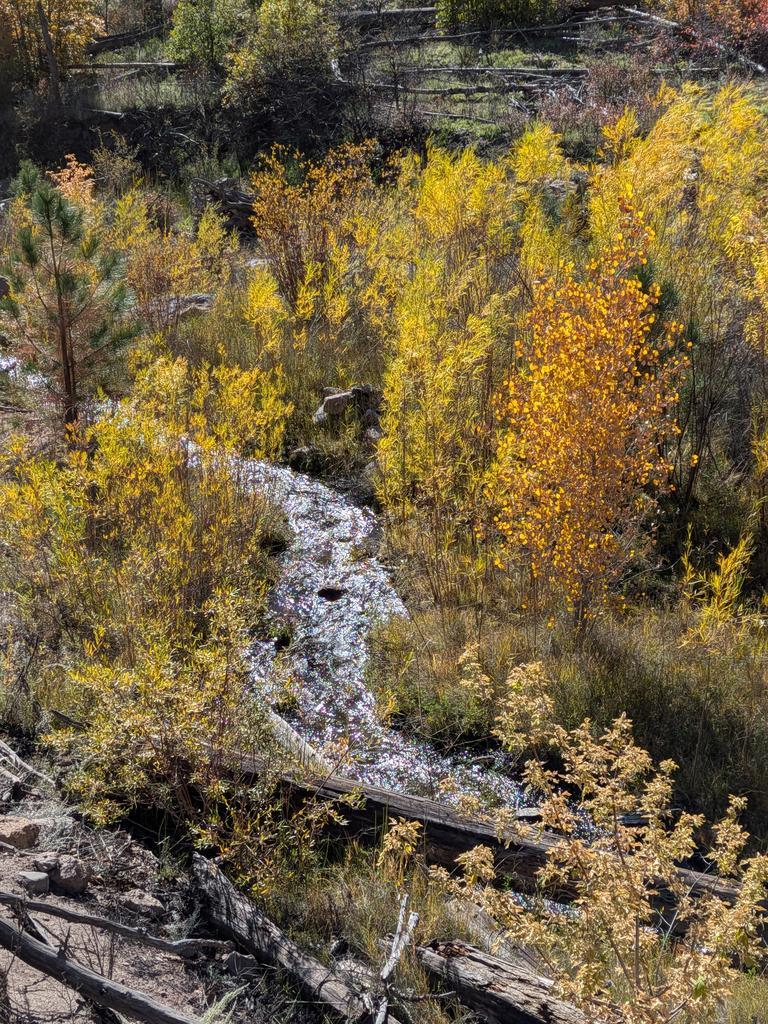 Looking down at a small river winding its way through bright fall yellow willows, aspens and other deciduous trees.