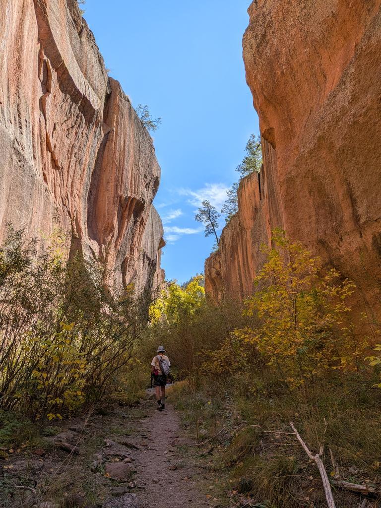 A lone hiker walks a trail in a narrow canyon bounded by very high, sheer vertical rock walls. The rock walls are salmon-pink streaked with brown; the sky is blue in the opening between them. The foliage at the foot of the walls is mostly yellow with fall, with some green still showing.