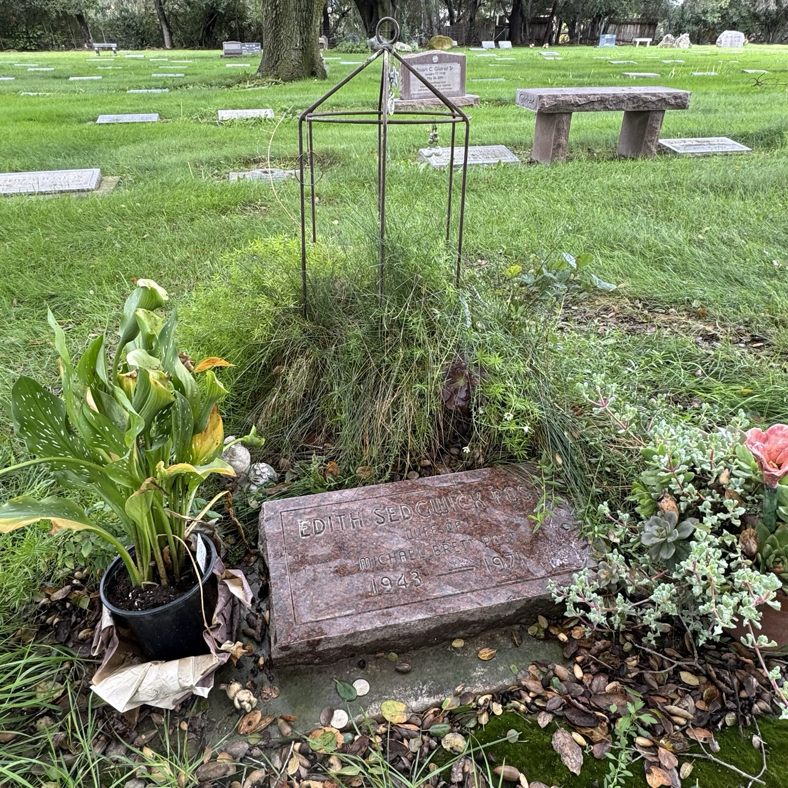 grave of Edie Sedgwick