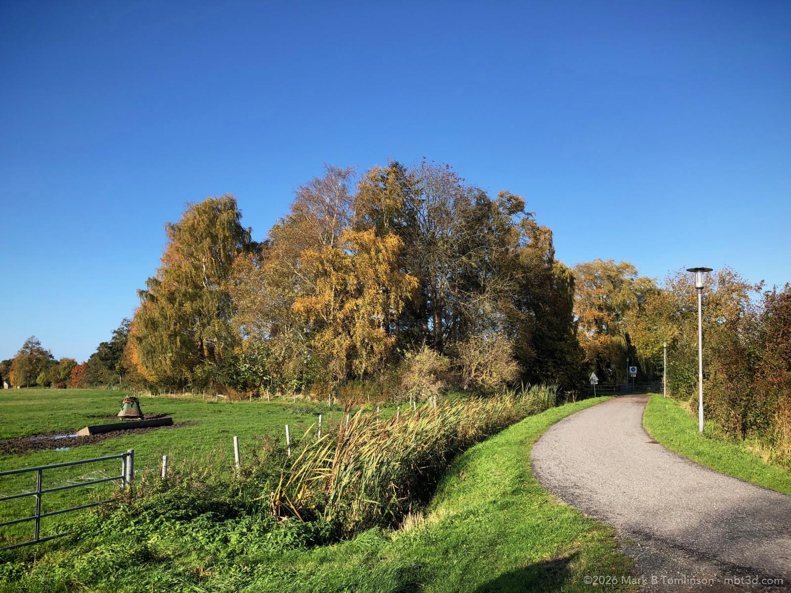 Country lane with fields and a small wood copse in the the background