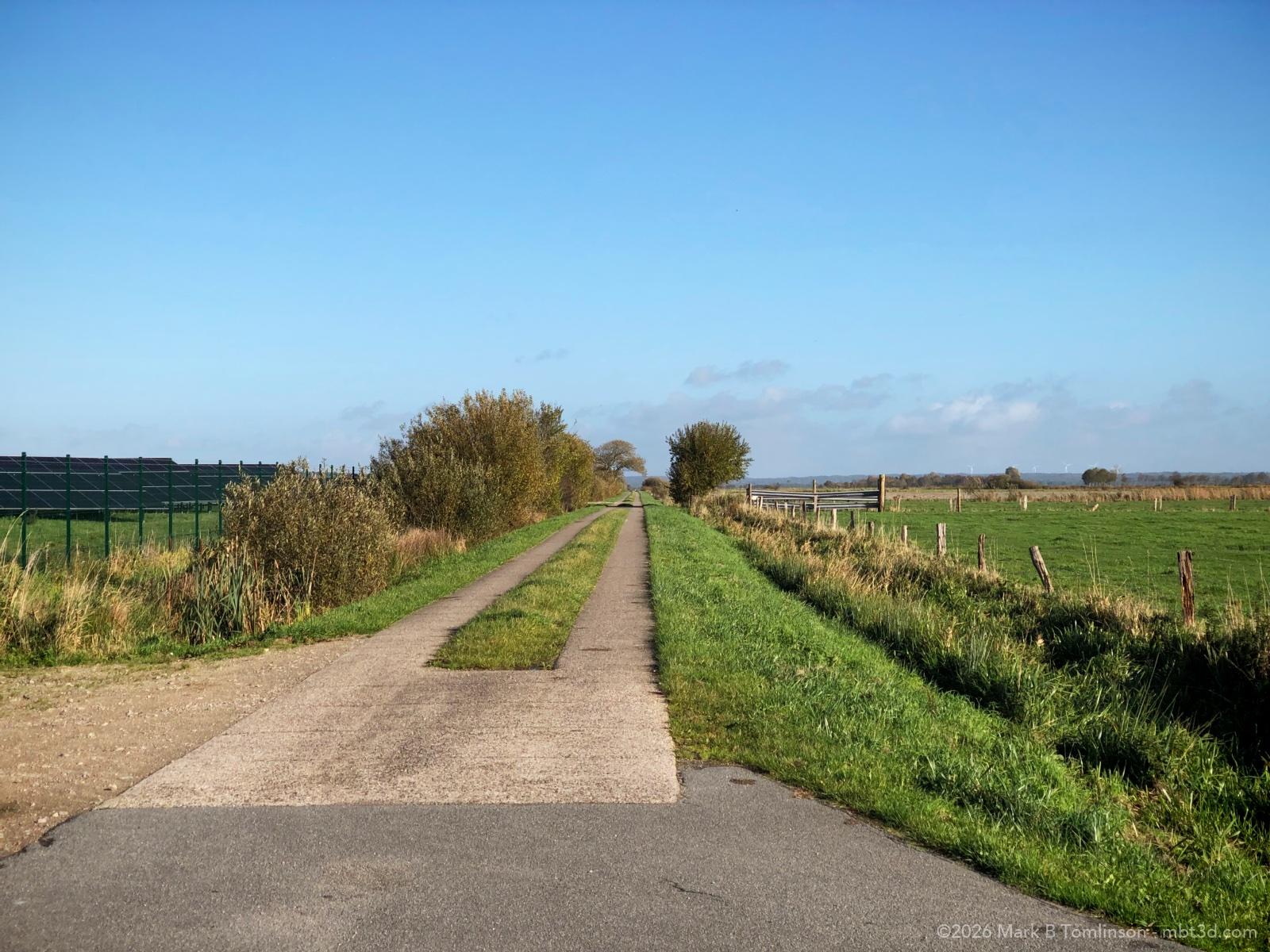 Country lane with fields and a tractor track in the centre.